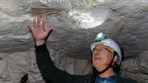 Image of a visitor to Fan Bay Deep Shelter examining one of the fossils in the chalk